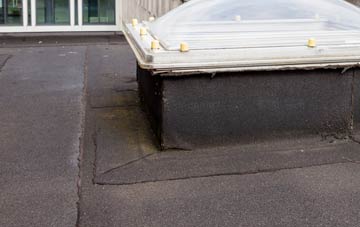disadvantages of Little Shoddesden flat roofs
