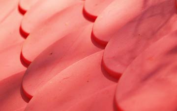 Little Shoddesden plastic roof costs