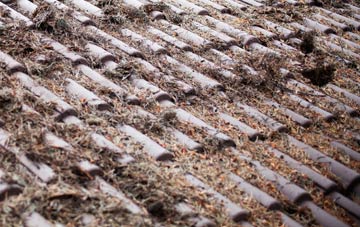 Little Shoddesden roof cleaning companies